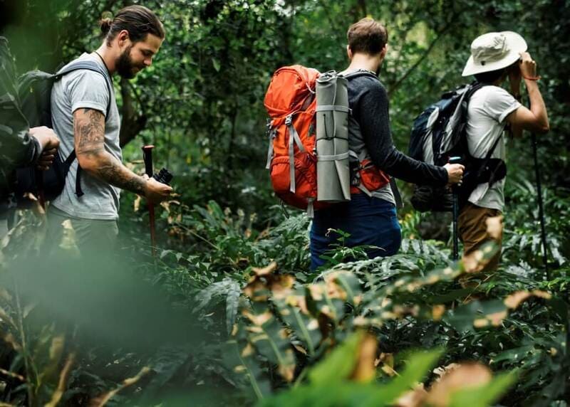 amigos para viajar